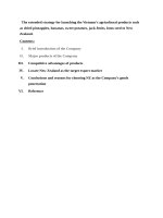 Chiến lược mở rộng đưa sản phẩm nông nghiệp của việt nam sang thị trường new zealand e 