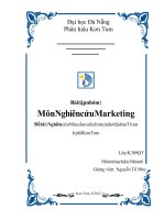 Nghiên Cứu Marketing Đề Tài Nghiên Cứu Nhu Cầu Nuôi Chim Cảnh Ở Địa Bàn Thành Phố Kontum