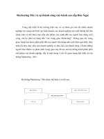 Marketing mix và sự thành công của bánh cao cấp bảo ngọc 