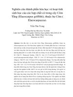 DSpace at VNU: Nghiên cứu thành phần hóa học và hoạt tình sinh học của các hợp chất có trong cây Côm Tầng (Elaeocarpus griffithi), thuộc họ Côm ( Elaeocarpaceae )