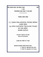 Xác định Malassezia trong bệnh lang ben và hiệu quả điều trị bằng thuốc kháng nấm nhóm azole