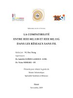 DSpace at VNU: LA COMPATIBILITÉ ENTRE IEEE 802.11B ET IEEE 802.11G DANS LES RÉSEAUX SANS FIL Vu Duc Trung