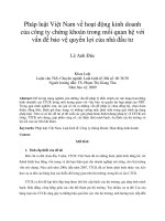 DSpace at VNU: Pháp luật Việt Nam về hoạt động kinh doanh của công ty chứng khoán trong mối quan hệ với vấn đề bảo vệ quyền lợi của nhà đầu tư