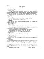 giao an ngu van 11 bai chi pheo