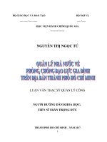 Quản lý nhà nước về phòng, chống bạo lực gia đình trên địa bàn Tp.HCM (LV thạc sĩ)