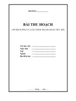 mau bia bai thu hoach lop dang vien moi