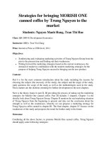 DSpace at VNU: Strategies for bringing MORISH ONE canned coffee by Trung Nguyen to the market