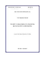 Tổ chức và hoạt động của thanh tra Bộ Tài nguyên và môi trường (LV thạc sĩ)