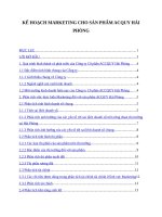 Kế hoạch marketing cho sản phẩm acquy hải phòng