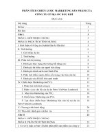 Phân tích chiến lược marketing sản phẩm của công ty CP địa ốc dầu khí 