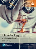 Microbiology a laboratory manual 7th global edtion by weish