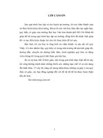 Tiểu luận: Bảo vệ và phát huy di sản văn hóa cồng chiêng Tây Nguyên