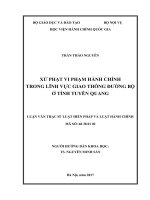 Xử phạt vi phạm hành chính trong lĩnh vực giao thông đường bộ ở tỉnh Tuyên Quang (LV thạc sĩ)