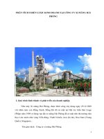 Phân tích chiến lược kinh doanh tại công ty xi măng hải PHòng 