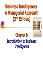 Business intelligence a managerial approach 2nd by david king chapter 01 