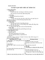 giao an ngu van 11 bai luyen tap viet tieu su tom tat