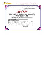 giay moi du le ky niem ngay nha giao viet nam 20 11