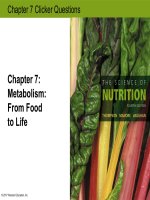 Clicker questions the science of NUTRITON 4th by thompson manore and vaughan chapter 06 