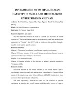 DSpace at VNU: Development of overall human capacity in small and medium-sized enterprises in Vietnam