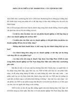 Phân tích chiến lược marketing  của tập đoàn THP 