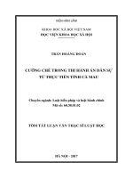 Cưỡng chế trong thi hành án dân sự từ thực tiễn Thi hành án dân sự ở tỉnh Cà Mau (tt)