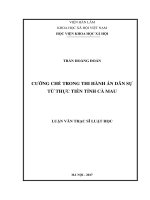 Cưỡng chế trong thi hành án dân sự từ thực tiễn Thi hành án dân sự ở tỉnh Cà Mau (LV thạc sĩ)