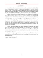 Phân tích phương thức kinh doanh tạm nhập tái xuất hàng hóa trong thương mại quốc tế và tình hinh kinh doanh hoạt động này tại Việt Nam hiện nay