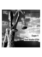 Thuyết trình môn thị trường tài chính quốc tế stock valuation  risk 