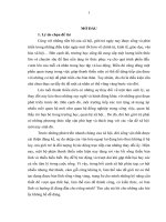 LUAN VAN GIÁO dục kỹ NĂNG SỐNG CHO THANH THIẾU NIÊN trên kênh VTV