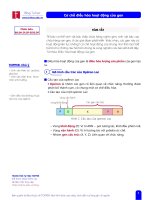 T.Blog.B.01.07.Co che dieu hoa hoat dong cua gen