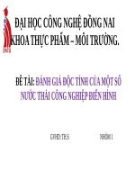 Danh gia rui ro moi truong