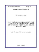 Phát triển dịch vụ thanh toán thẻ tại ngân hàng TMCP Công thương Việt Nam chi nhánh Tuyên Quang (tt)