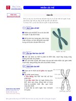 T.Blog.B.02.04.Nhiem sac the