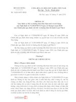 16 2010 TT BXD 10211295