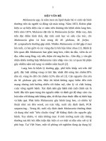 Xác định Malassezia trong bệnh lang ben và hiệu quả điều trị bằng thuốc kháng nấm nhóm azole (TT)