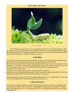 20 cau chuyen hay ý nghĩa