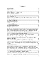 Công tác xã hội cá nhân trong việc hỗ trợ việc làm cho người khuyết tật vận động tại xã nam giang, huyện thọ xuân, tỉnh thanh hóa