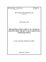 Bồi dưỡng công chức các cơ quan chuyên môn thuộc UBND tỉnh Đăk Nông (LV thạc sĩ)