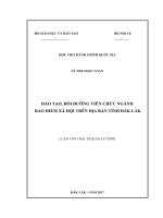 Đào tạo, bồi dưỡng viên chức ngành bảo hiểm xã hội trên địa bàn tỉnh Đăk Lăk (LV thạc sĩ)