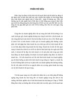 Phân tích tình hình doanh thu bán hàng ở công ty TNHH bông mai