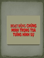 Slide bài giảng Hoạt động chứng minh trong tố tụng hình sự