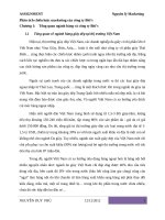 Phân tích chiến lược marketing của công ty biti’s 