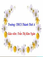 Bài giảng lịch sử 6 bài 9 Đời sống của người nguyên thủy trên đất nước ta