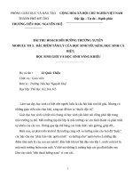 bài thu hoạch bồi dưỡng thường xuyên tiểu học module 3 