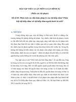 Phân tích các dấu hiệu pháp lý của tội hiếp dâm theo Bộ luật Hình sự 2015 (sửa đổi, bổ sung 2017)? Phân biệt tội hiếp dâm với tội hiếp dâm người dưới 16 tuổi?