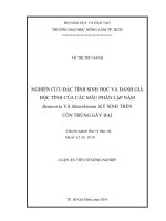NGHIÊN CỨU ĐẶC TÍNH SINH HỌC VÀ ĐÁNH GIÁ ĐỘC TÍNH CỦA CÁC MẪU PHÂN LẬP NẤM Beauveria VÀ Metarhizium KÝ SINH TRÊN CÔN TRÙNG GÂY HẠI