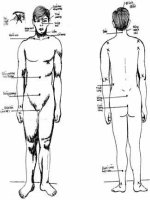 Giáo trình giảng dạy võ thuật  Phần 1