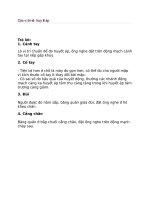 Các vị trí đo huyết áp