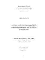 KHẢO SÁT ĐÁP ỨNG MIỄN DỊCH CỦA CÁ TRA (Pangasianodon hypophthalmus) NHIỄM VI KHUẨN Edwardsiella ictaluri