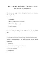 Thực trạng đào tạo nhân lực tại  công ty cổ phần đầu tư quốc tế đông phương 